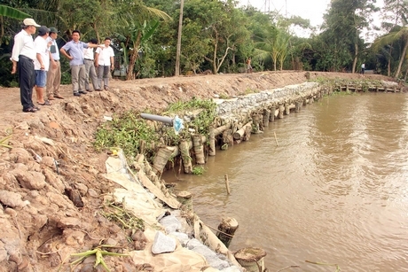 Thường trực Ban Chỉ huy Phòng chống thiên tai và Tìm kiếm cứu nạn tỉnh kiểm tra các công trình đê bao trước mùa mưa lũ tại khu vực TP Vĩnh Long.