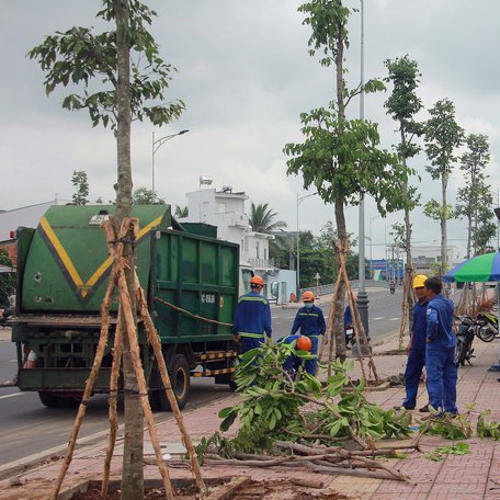 Xí nghiệp Công viên cây xanh đã bố trí lực lượng trồng lại những cây đã bật gốc, dùng cừ tràm chằng chống những cây bị nghiêng vào sáng 15/4/2021.