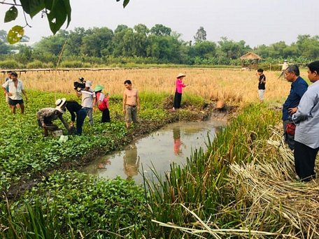 Tát mương bằng gàu, bắt cá trong ruộng lúa mùa của anh Tư “Lúa Mùa” (Kiên Giang). 