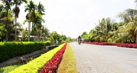 Đến nay, huyện Tam Bình đã xây dựng đạt 4/9 tiêu chí huyện nông thôn mới.  