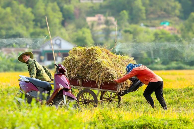 Người dân miền Trung quanh năm quần quật với nắng – gió – bão – lũ của đất trời. Không có năm nào mảnh đất này không phải hứng chịu những cơn thịnh nộ của thiên nhiên. Cuộc sống mưu sinh đầy gian khó mang lại nhiều nỗi vất vả nhưng lại rèn luyện cho người miền Trung sự bền bỉ và chịu thương chịu khó.