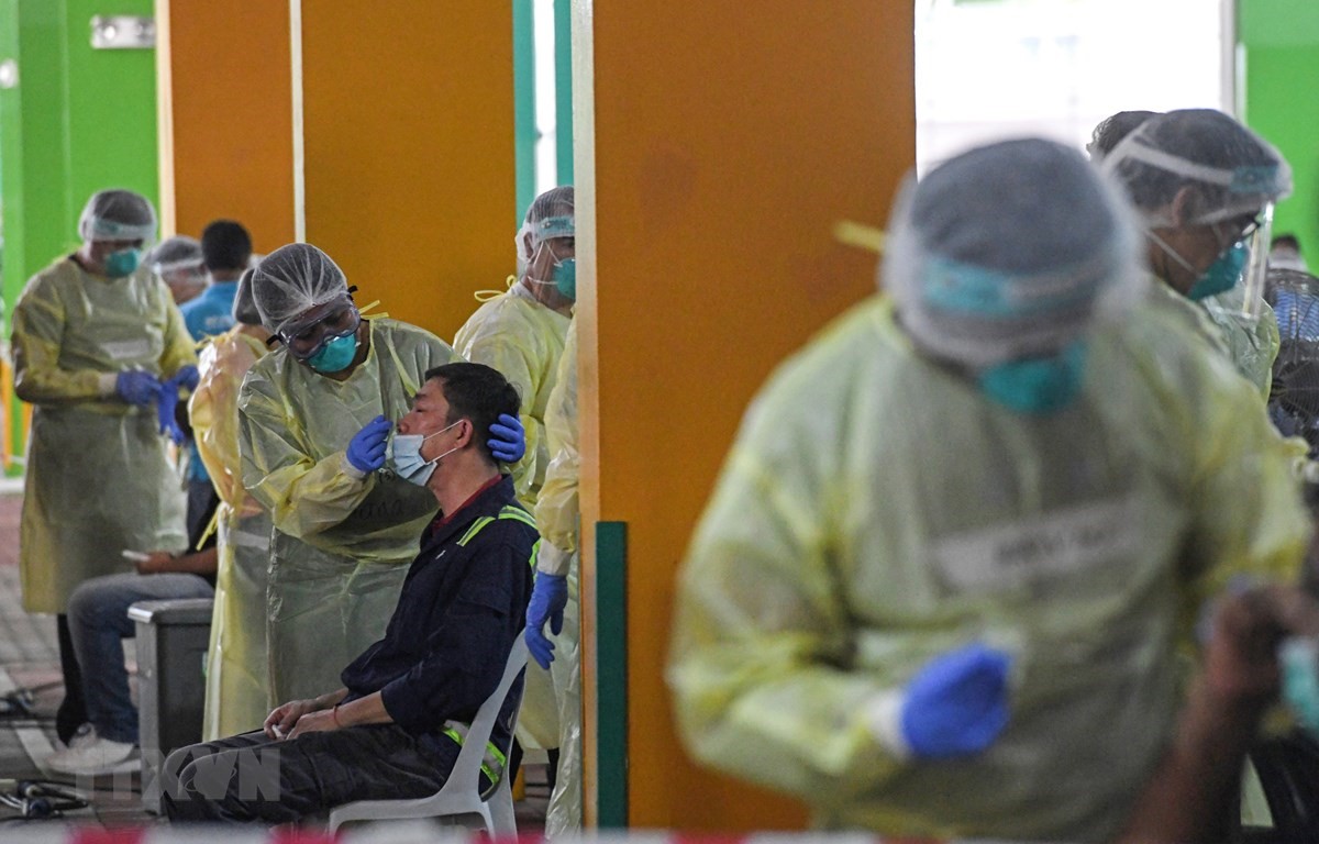 Nhân viên y tế lấy mẫu xét nghiệm COVID-19 tại Singapore. (Ảnh: AFP/TTXVN)