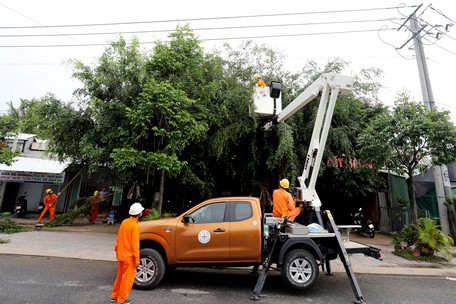 Phát hoang, cắt tỉa nhánh cây cao va vào lưới điện.