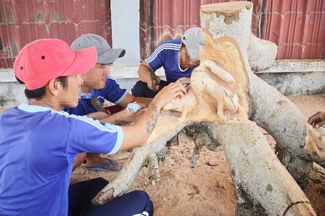 Học viên Cơ sở Cai nghiện ma túy được tham gia đào tạo nghề, lao động kết hợp trị liệu.