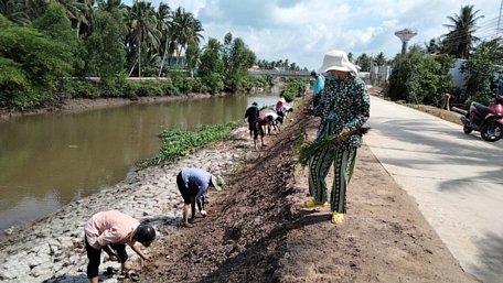 Hội viên Hội Nông dân và nhân dân tham gia trồng cây chống sạt lở.