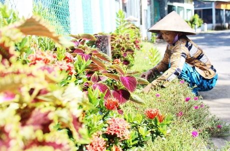 Sau khi tuyến đường hoàn thành, người dân chăm chút trồng hoa làm đẹp cảnh quan góp phần xây ấp NTM kiểu mẫu. Trong ảnh: Bà Hồng chăm sóc hoa trên đoạn đường trước nhà.