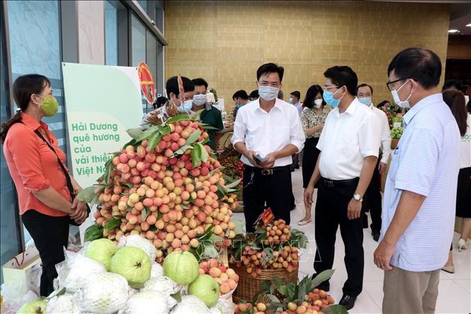 Lãnh đạo tỉnh Hải Dương giới thiệu các sản phẩm nông nghiệp tiêu biểu của tỉnh cho các vị khách, doanh nghiệp trong và ngoài nước. Ảnh: Mạnh Tú/TTXVN