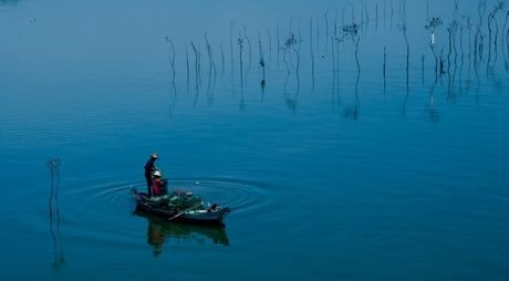 Ảnh minh họa: MINH TÂM