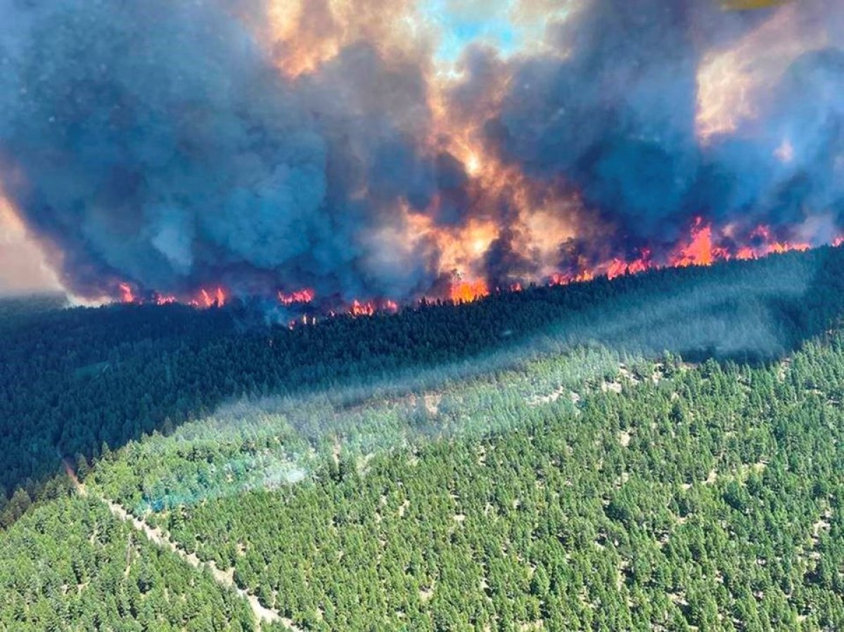 Cháy rừng ở British Columbia, Colombia ngày 29/6/2021. Ảnh: Reuters