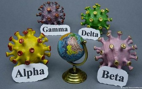  Mô hình các biến thể của SARS-CoV-2. Ảnh: Steinach.