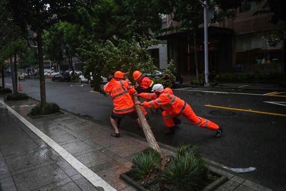 Cây cối ngã đổ do gió mạnh ở thành phố Ninh Ba, tỉnh Chiết Giang ngày 25/7 - Ảnh: AFP