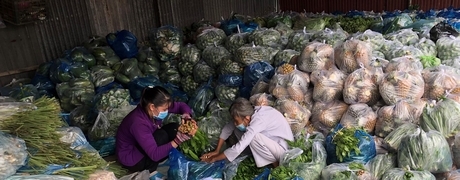 Bà con Vĩnh Long chung tay hướng về TP Hồ Chí Minh.