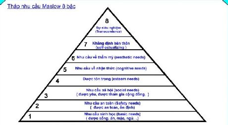 Trong tháp nhu cầu Maslow, nhận thức được xếp là nhu cầu cơ bản.