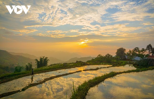 Trên rẻo cao, bản Sin Suối Hồ còn được tô điểm bằng những khu ruộng bậc thang đặc trưng của cuộc sống nông nghiệp miền núi. Ruộng bậc thang ở đây không quá lớn, hùng vĩ nhưng vẫn tạo nên một mảng màu, một dấu ấn đậm nét cho bức tranh toàn cảnh của Sin Suối Hồ.