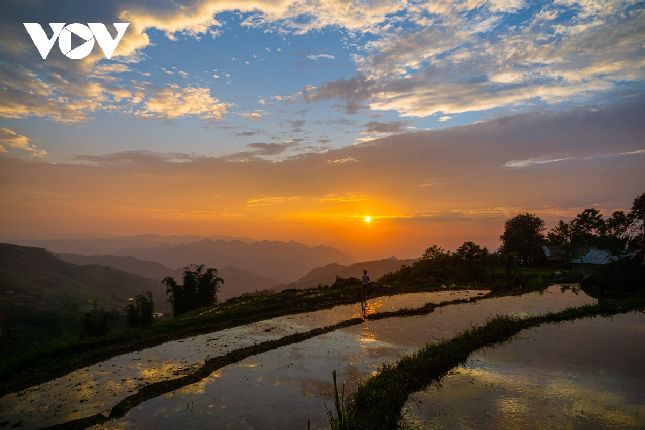 Tới mùa lúa chín, cánh đồng ruộng bậc thang như những dải lụa đào uốn quanh các triền núi, làm rực lên sắc hương mùa vàng ấm no.