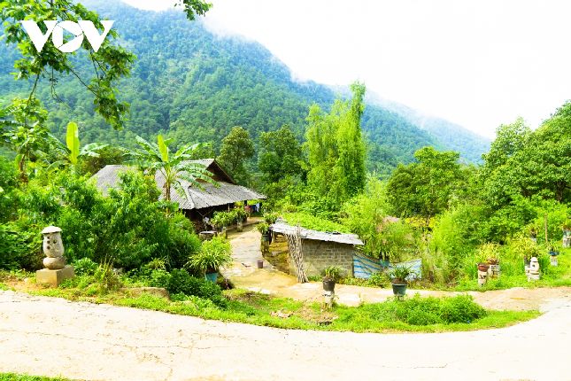 Hoa được trồng khắp mọi nơi, đặc biệt là cả ngàn chậu lan phục vụ nhu cầu bày biện ngày Tết.