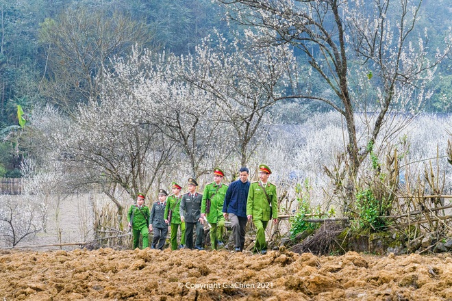 Đi giữa mùa xuân.