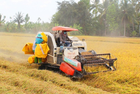 Sản xuất nông nghiệp vẫn được duy trì tốt trong bối cảnh dịch COVID-19 để chung tay xây nông thôn đổi mới.