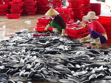  Tiêu thụ nhiều loại thủy hải sản gặp khó khăn do lưu thông khó khăn, sức mua giảm .Ảnh: KỲ NAM