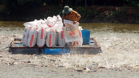 Phó Thủ tướng Chính phủ Lê Văn Thành chỉ đạo các địa phương cần xây dựng kế hoạch phục hồi sản xuất bảo đảm nguồn hàng cung ứng cho dịp Tết nguyên đán 2022 và cả xuất khẩu.