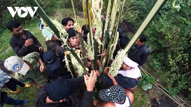 Việc Cao nguyên Kon Hà Nừng được ghi danh vào mạng lưới Khu dự trữ sinh quyển thế giới sẽ góp phần bảo vệ môi trường, đa dạng sinh học và thúc đẩy phát triển bền vững./.