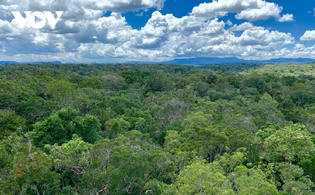 Khu dự trữ sinh quyển Cao nguyên Kon Hà Nừng có tổng diện tích hơn 413.500 ha. Vùng lõi của khu dự trữ sinh quyển này là Vườn Quốc gia Kon Ka Kinh và Khu Bảo tồn thiên nhiên Kon Chư Răng.