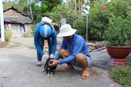 Cần nâng cao ý thức, tiêm phòng bệnh dại cho chó, mèo.