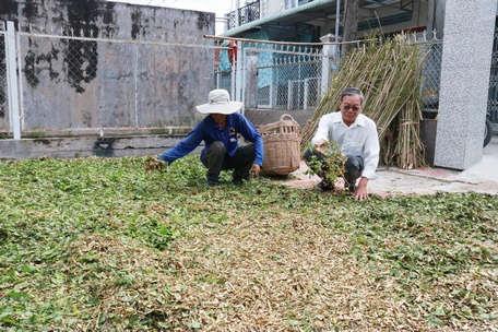 Là gương điển hình làm công tác xã hội từ thiện, ông Biện Bá Lợi (phải) tự tay sưu tầm thuốc Nam cho người nghèo.Ảnh chụp trước dịch bệnh