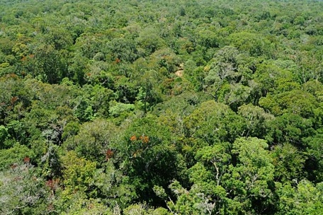 Khu dự trữ sinh quyển Cao nguyên Kon Hà Nừng có tổng diện tích hơn 413.500 ha bao gồm: Vườn Quốc gia Kon Ka Kinh, Khu Bảo tồn thiên nhiên Kon Chư Răng và các vùng đệm (Ảnh: Khu bảo tồn Kon Chư Răng)