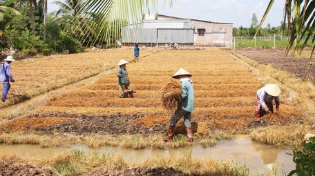 Học và làm theo lời Bác, nhiều nông dân đang hăng hái thi đua lao động, sản xuất để vươn lên khá giàu.