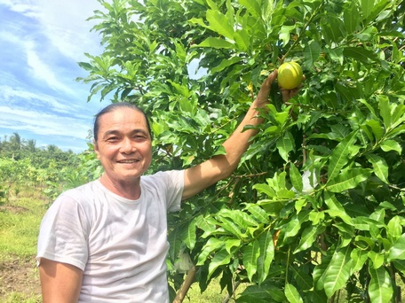  Ông Năm Biên bên vườn vú sữa hoàng kim.