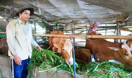 Đời sống đồng bào Khmer ngày càng khởi sắc.