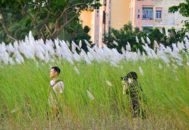 Những ngày này, những tay máy từ chuyên nghiệp đến không chuyên đổ về các bãi cỏ lau trên địa bàn 