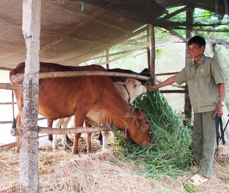 Hội Cựu chiến binh huyện có nhiều hoạt động giúp hội viên vươn lên thoát nghèo hiệu quả.