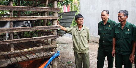 Thông qua phong trào, Hội CCB các cấp trong tỉnh đã động viên ý thức tự lực, tự cường vươn lên trong cán bộ, hội viên (ảnh chụp trước khi có dịch).