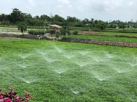 Khó khăn trong sản xuất nông nghiệp là vấn đề mà đại biểu và cử tri trong tỉnh rất quan tâm.