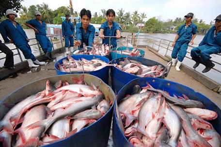 Nếu doanh nghiệp tính toán kỹ, biết được nhu cầu của thị trường, thị trường trong nước cũng như thị trường nước ngoài thì có thể tối ưu và tối đa hoá lợi nhuận -Ảnh: NLĐ