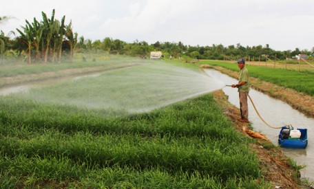 Thông qua các nguồn vốn hỗ trợ, nhiều cựu chiến binh đã đầu tư vào sản xuất, mang lại hiệu quả.