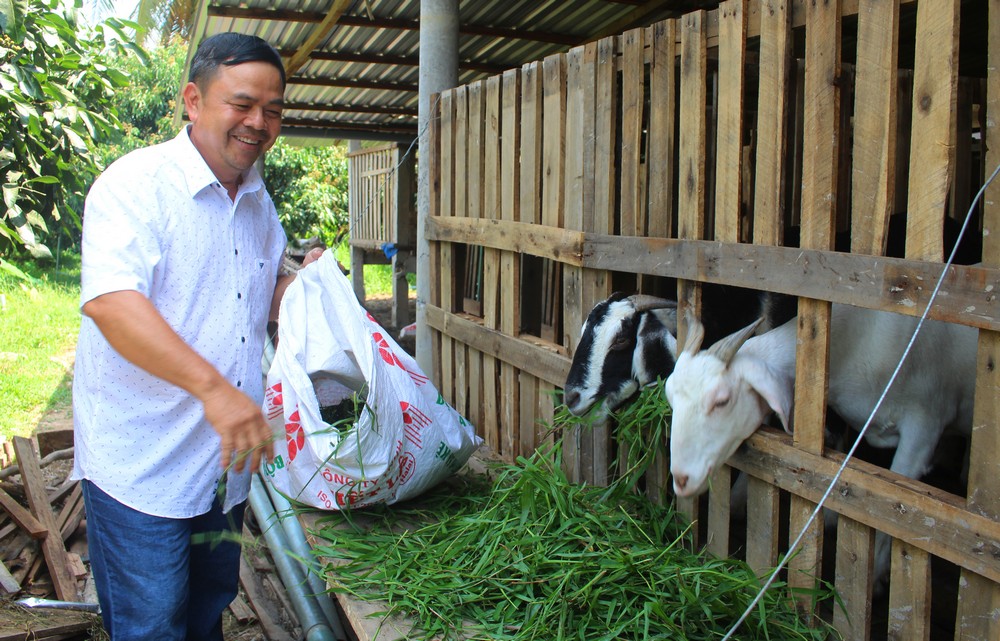 Để nâng chất tiêu chí thu nhập, nhiều địa phương đã vận động nông dân phát triển chăn nuôi, trong đó mô hình nuôi dê đang mang lại hiệu quả kinh tế khá cao.