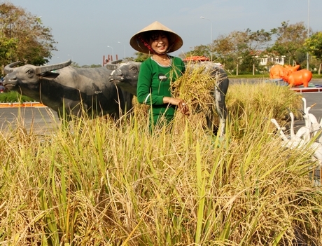 Đây là dịp tôn vinh, khẳng định những thành quả lao động của nông dân, trí thức, doanh nhân kinh doanh lúa gạo.