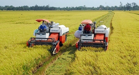 Ngành nông nghiệp đã có một năm vượt khó, thực hiện thắng lợi nhiệm vụ được giao.