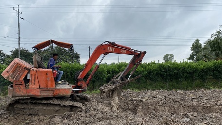 Người dân lên liếp trồng cam sành bên Đường tỉnh 907 đoạn qua Tân Mỹ. Phía sau là bạt ngàn vườn cam sành tơ.