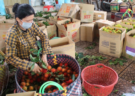 Ngày tết, chị Vân vui vẻ đi làm tại vựa trái cây.