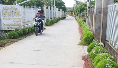 Tuyến đường đan Làng Mai vàng do Ban Vận động xây dựng giao thông nông thôn ấp Phước Định 2 chung tay vận động mạnh thường quân hỗ trợ xây đường.