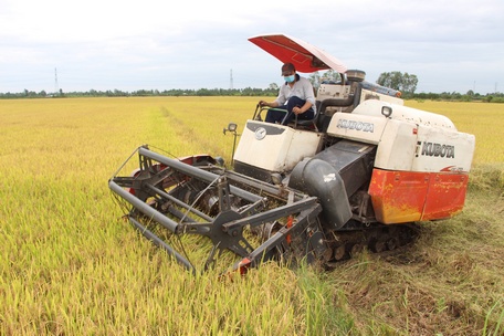 Áp dụng cơ giới vào sản xuất góp phần tăng năng suất, mang lại hiệu quả kinh tế cao.