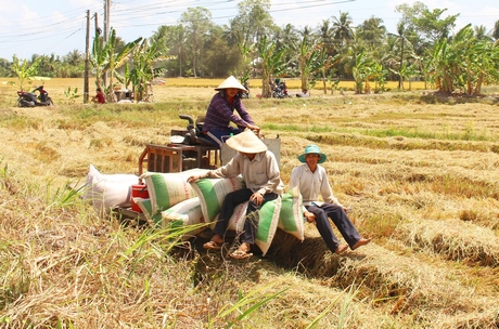 Bằng uy tín của mình, các đồng chí trưởng ấp chung tay cùng địa phương vận động người dân đưa kinh tế ngày càng phát triển.