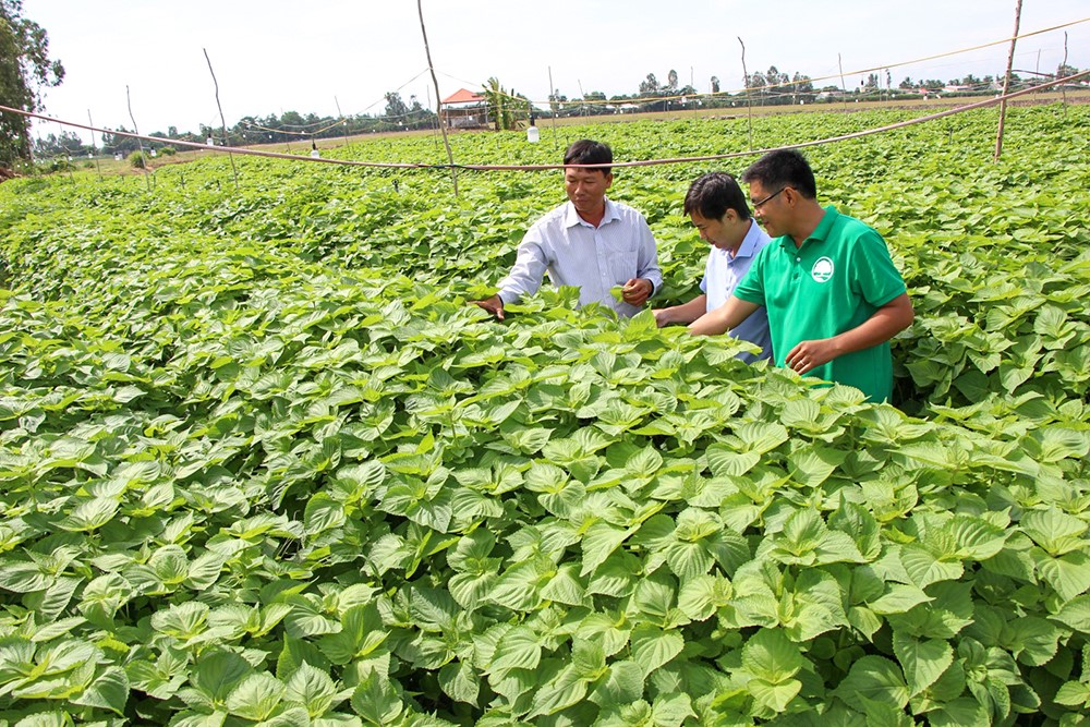 Phát triển nhân lực phục vụ du lịch và nông nghiệp công nghệ cao