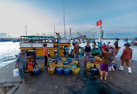 Bám biển .Ảnh: TRẦN NGỌC ANH (Hà Nội)