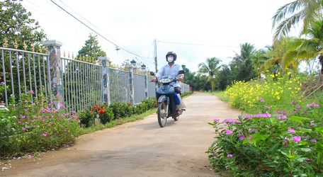 Tuyến đường tại làng mai được đầu tư rộng lớn, thuận lợi cho việc mua bán mai và phát triển du lịch.