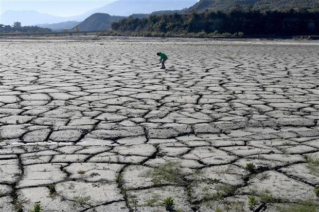 Cảnh khô hạn do nắng nóng kéo dài tại Gramsh, Albania. Ảnh: AFP/TTXVN